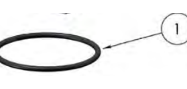 1118-1761-junta-torica-1no1 JUNTA TORICA 1"(Nº1) - Imagen 1